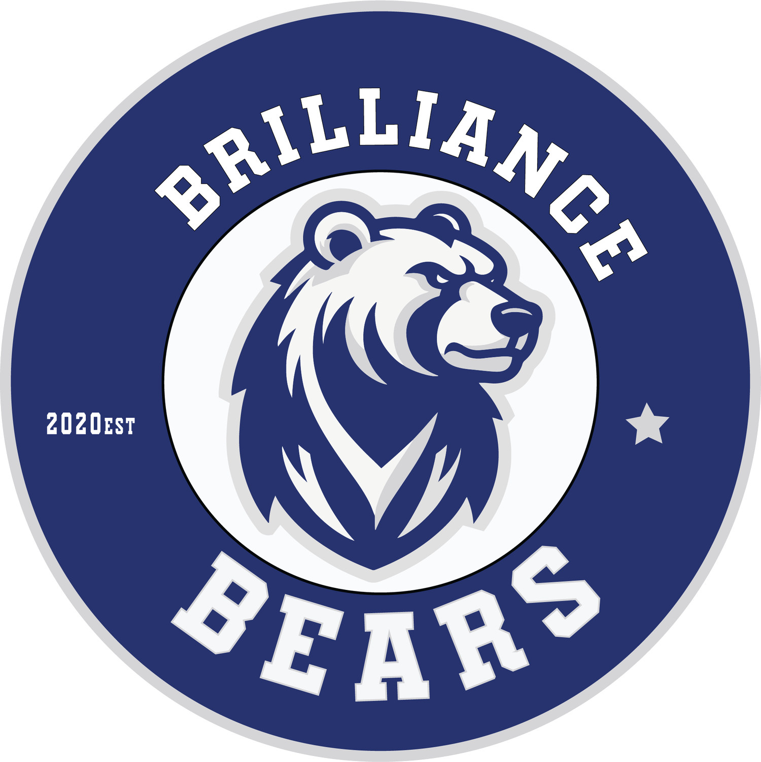 The Brilliance School