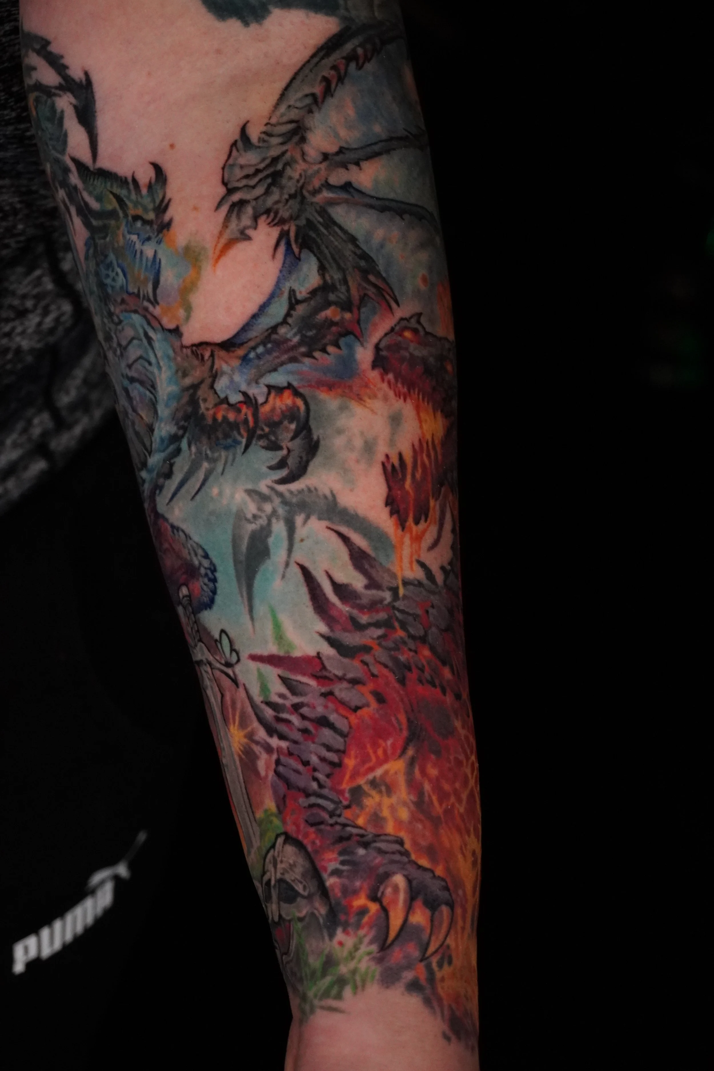 The Draconis Project