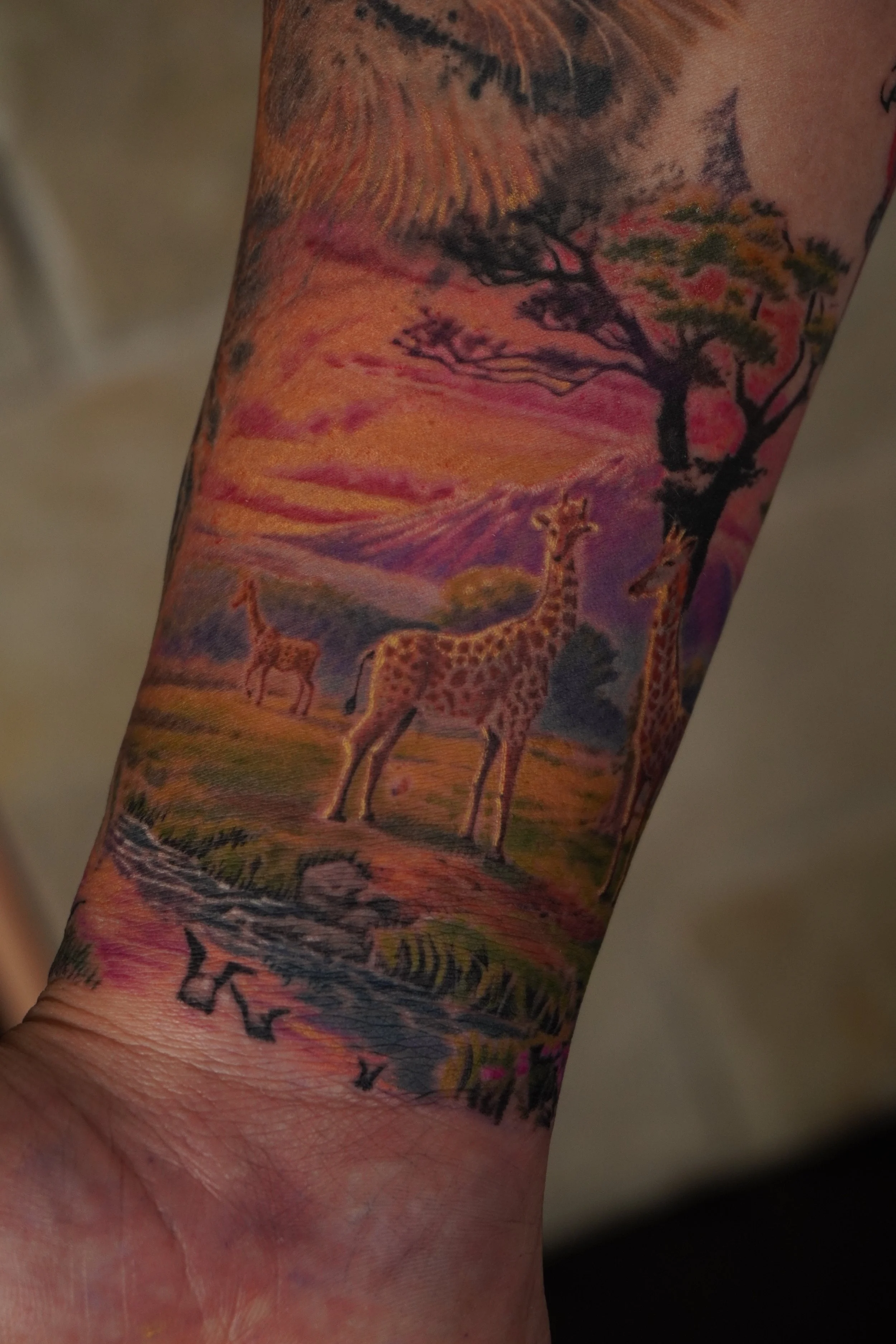 The Serengeti Project