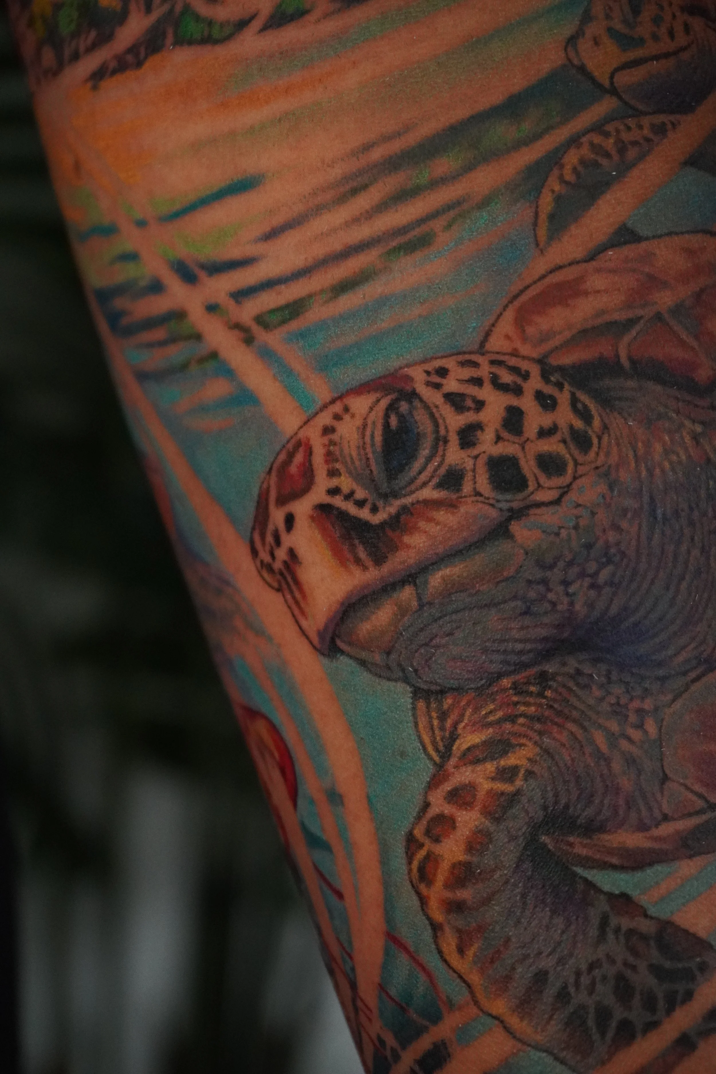 colour turtle tattoo turtle tattoo Trinidad