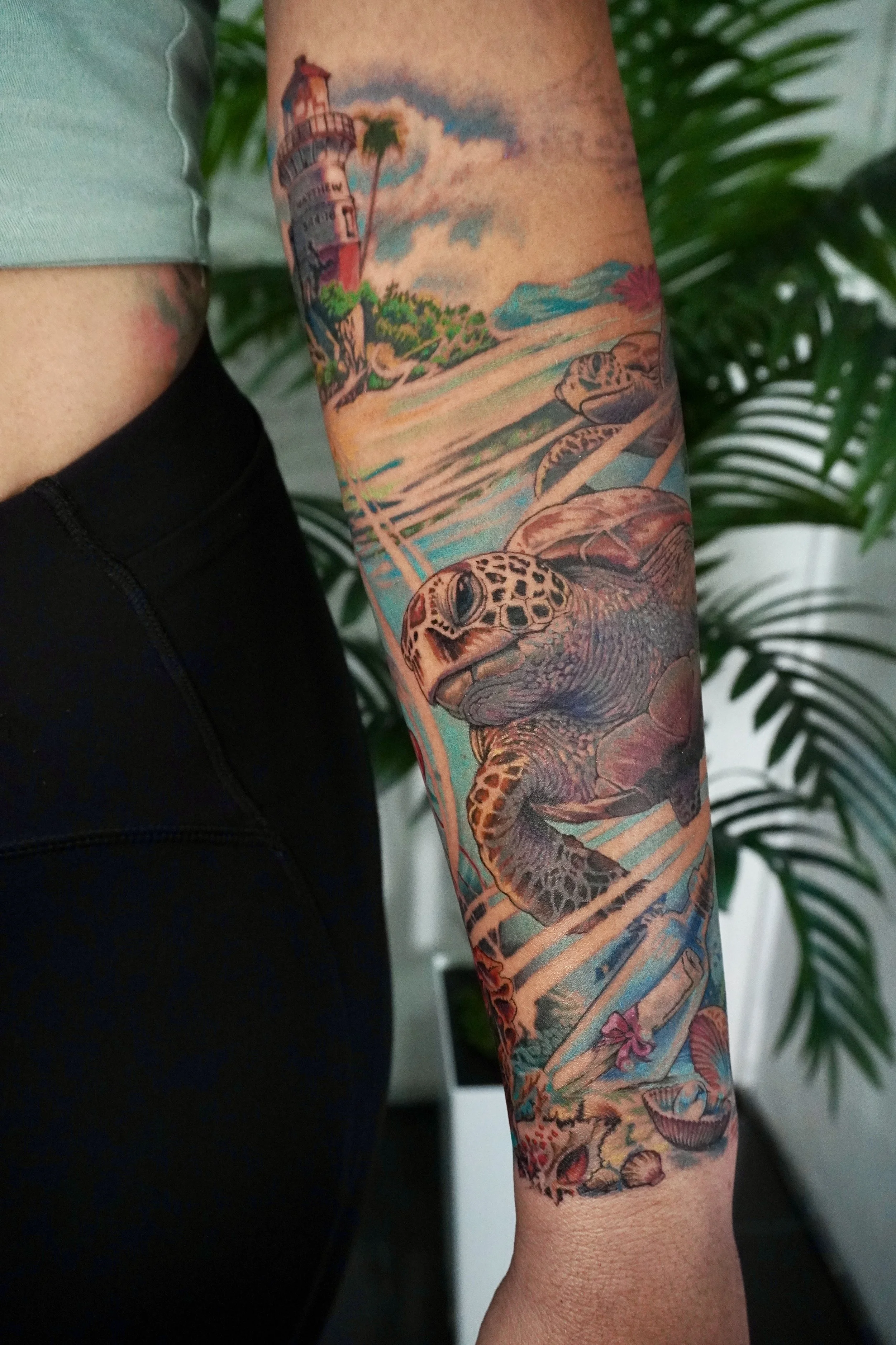 ocean tattoo turtle tattoo lighthouse tattoo reef tattoo reef with turtle tattoo Trinidad