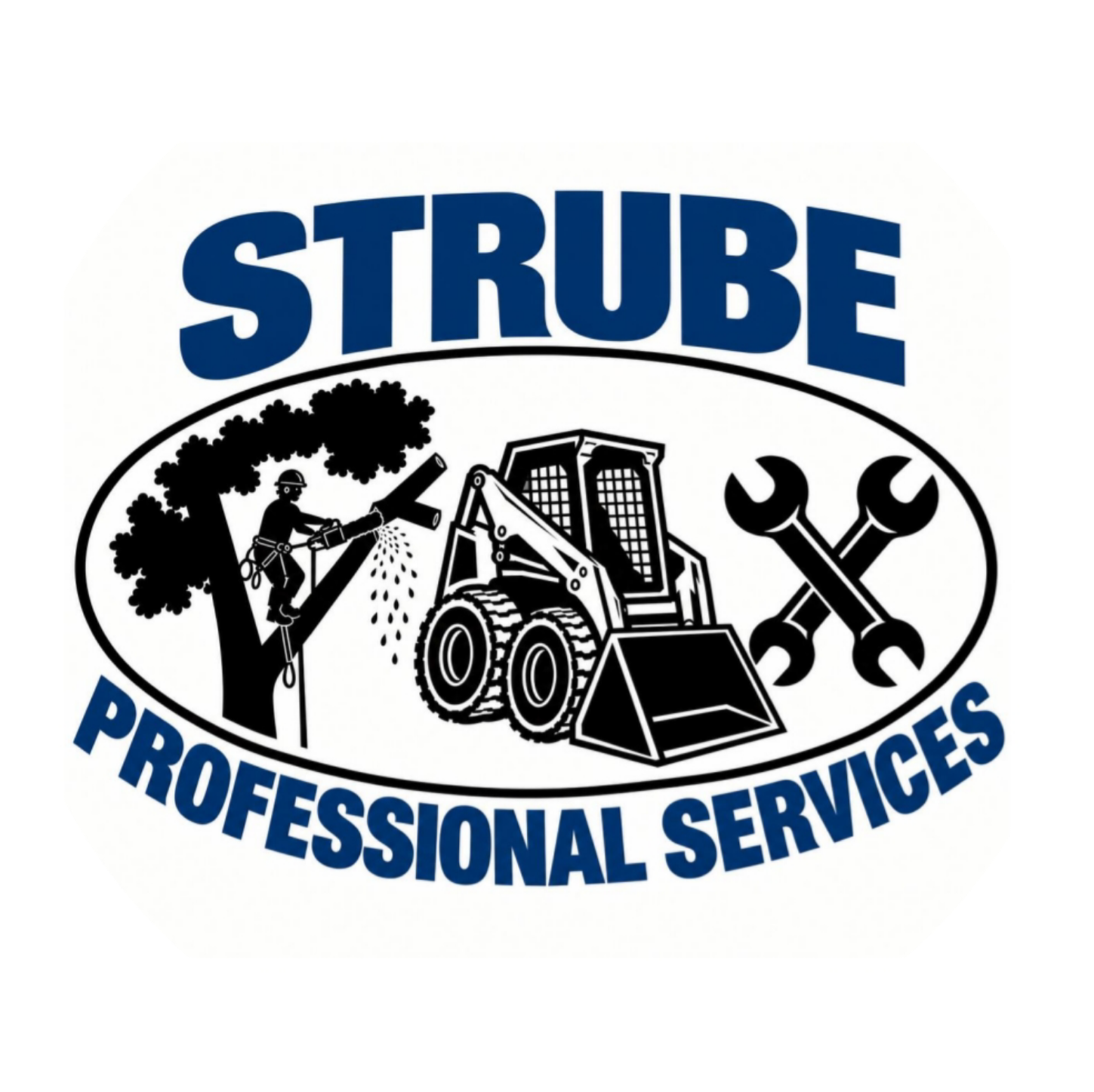 Strube Professional Services