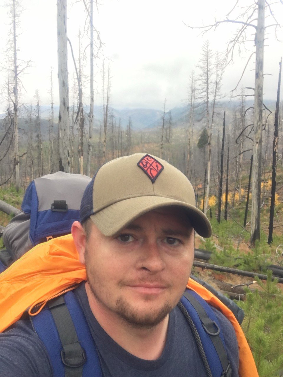Hiker with backpack in burned forest with charred trees and distant mountains.