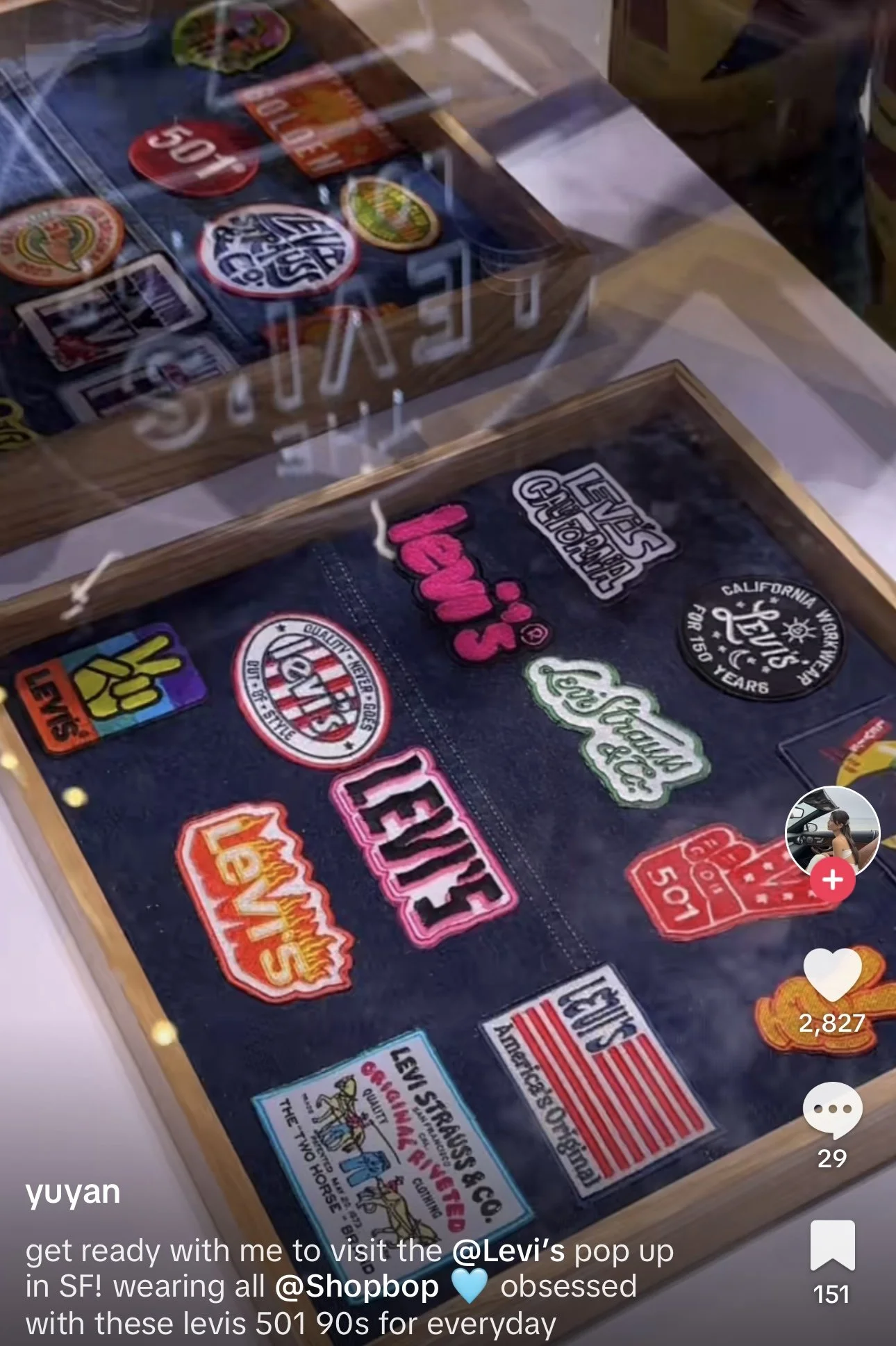 Collection of Levi's stickers and patches with various designs and logos inside a display case.