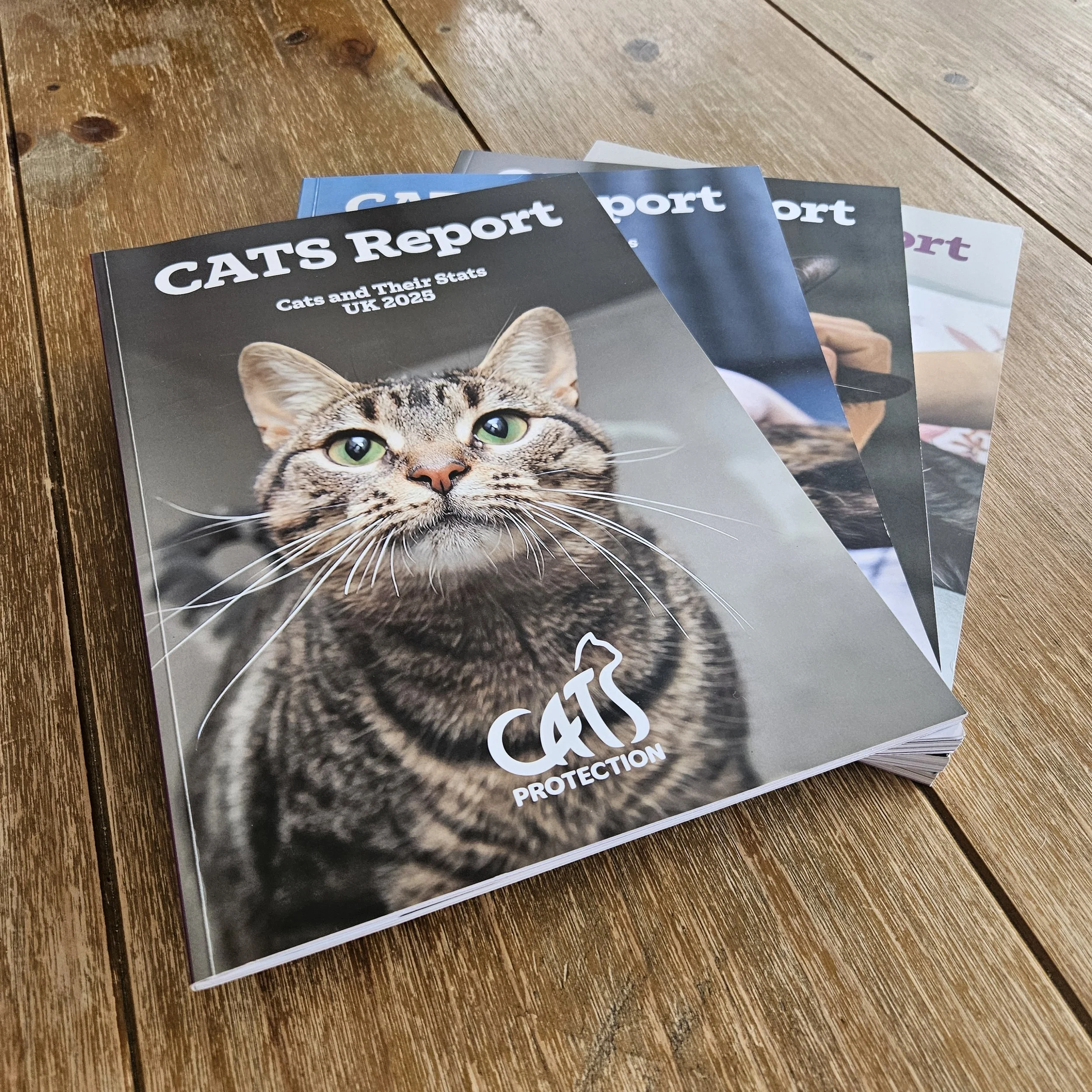 Several magazines or reports about cats on a wooden table, with the cover showing a close-up of a tabby cat's face.