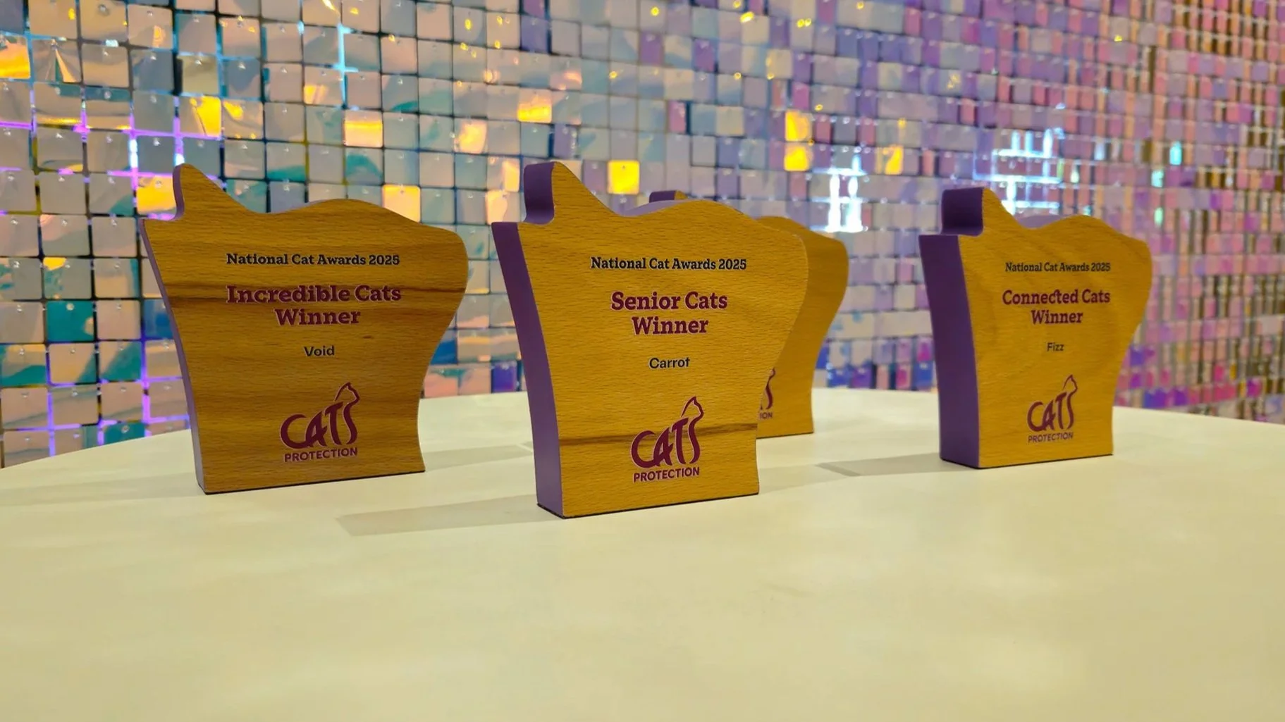 Three wooden cat-shaped awards with gold and purple accents on a table, each engraved with the words 'National Cat Awards 2025' and different titles: 'Incredible Cats Winner', 'Senior Cats Winner', and 'Connected Cats Winner', with the categories 'Void', 'Carrot', and 'Fizz' respectively, set against a colorful, shiny tiled background.