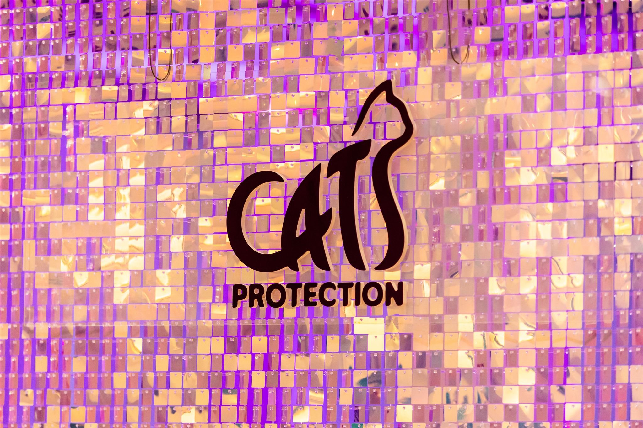 Decorative wall with purple and orange mosaic tiles and a black sign that reads 'Protection' in stylized text.