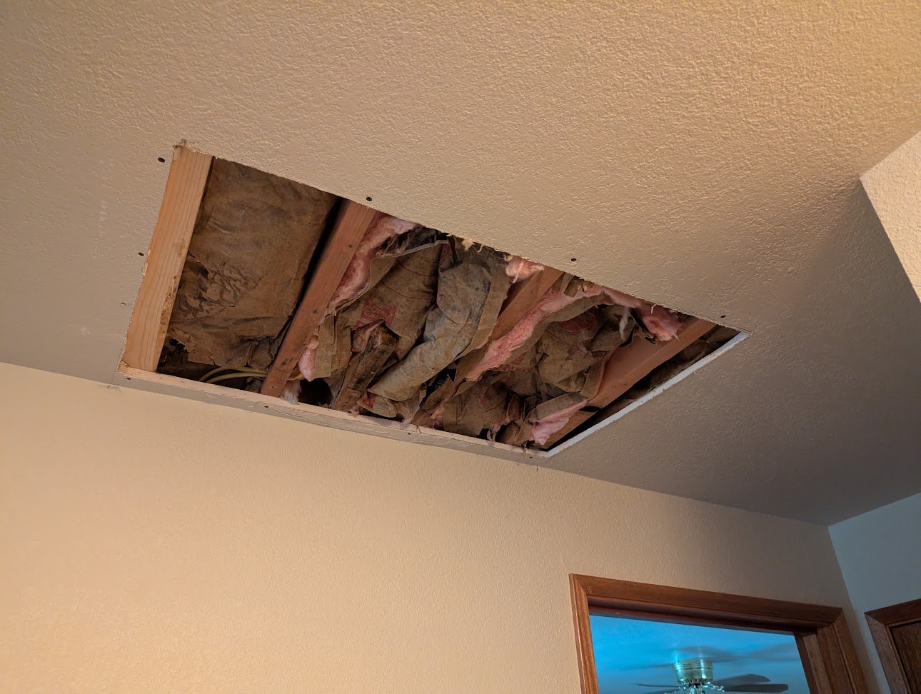 Ceiling with removed drywall exposing insulation and wooden beams.