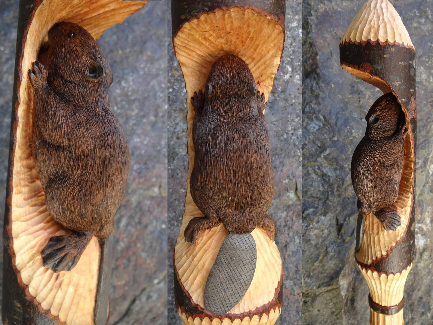 Beaver Squarespace 4.jpg