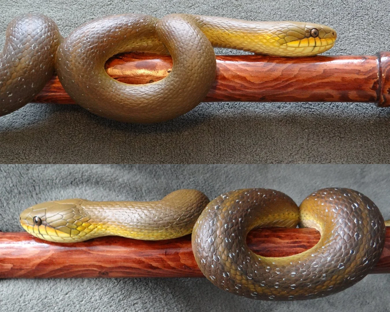 Aesculapian Snake Stick Squarespace 2.jpg