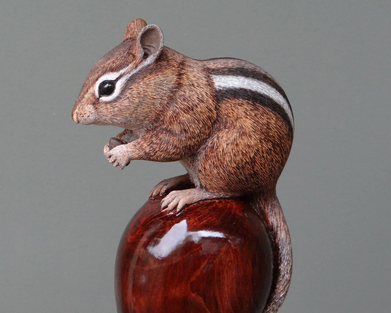 Chipmunk Squarespace 1.jpg