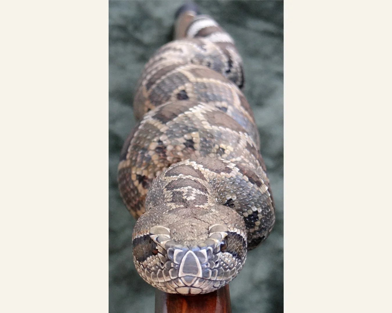 Rattler 111 stick pic 1.jpg