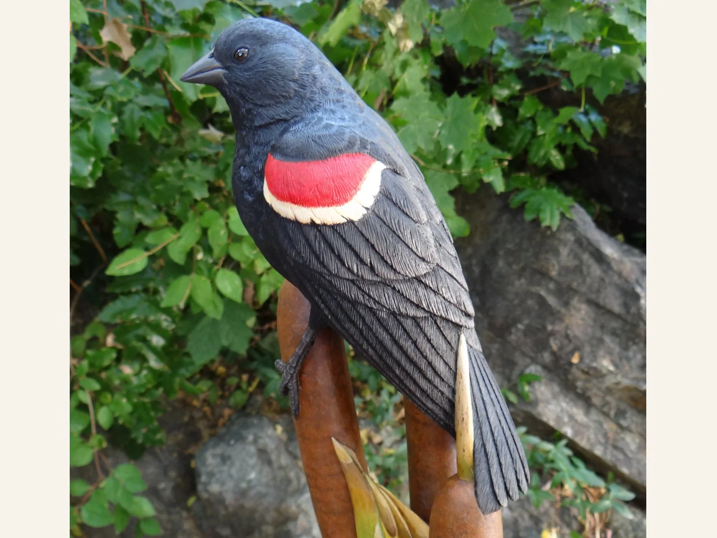 Blackbird Squarespace 1.jpg
