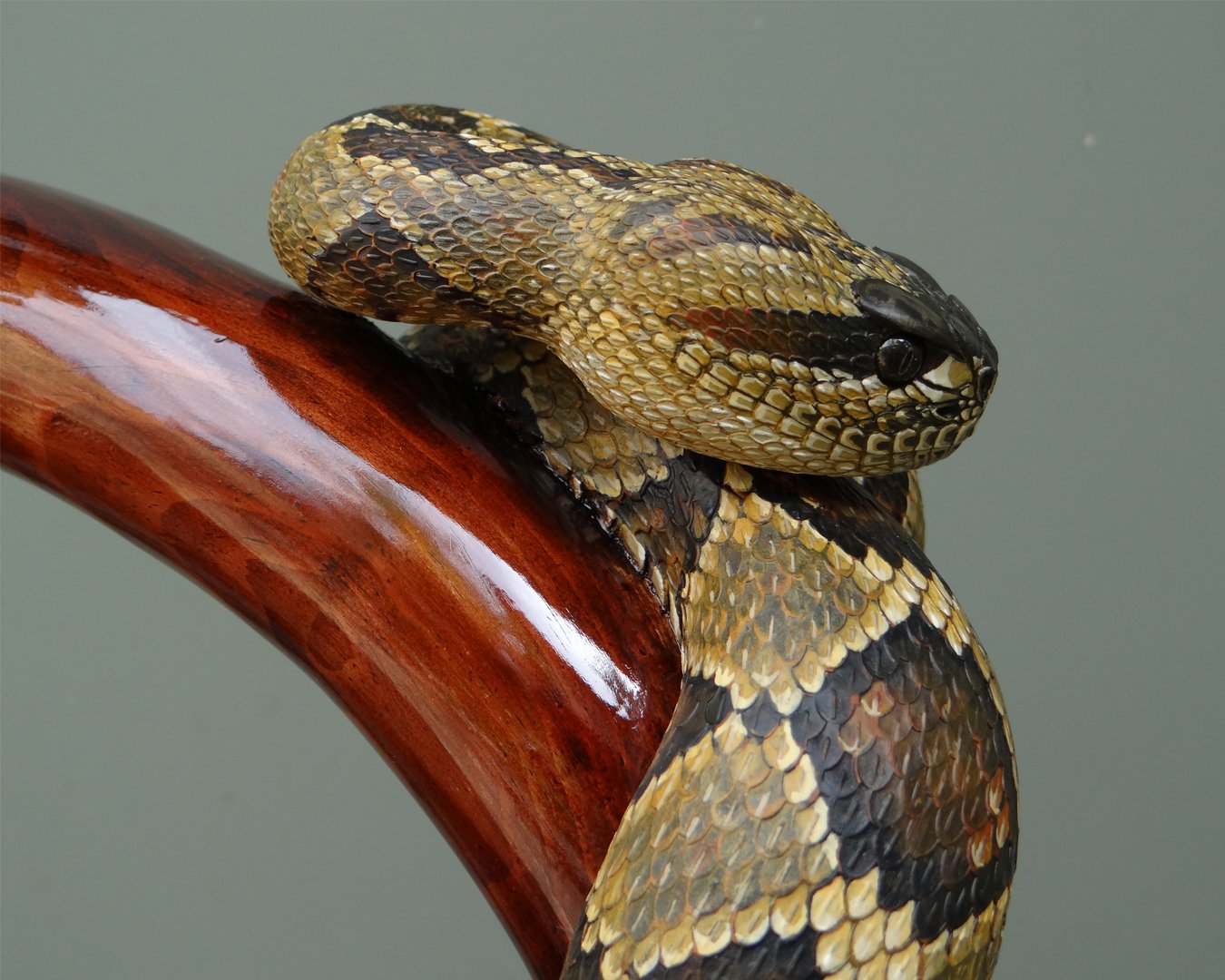 Black Tailed Rattler Squarespace 2.jpg