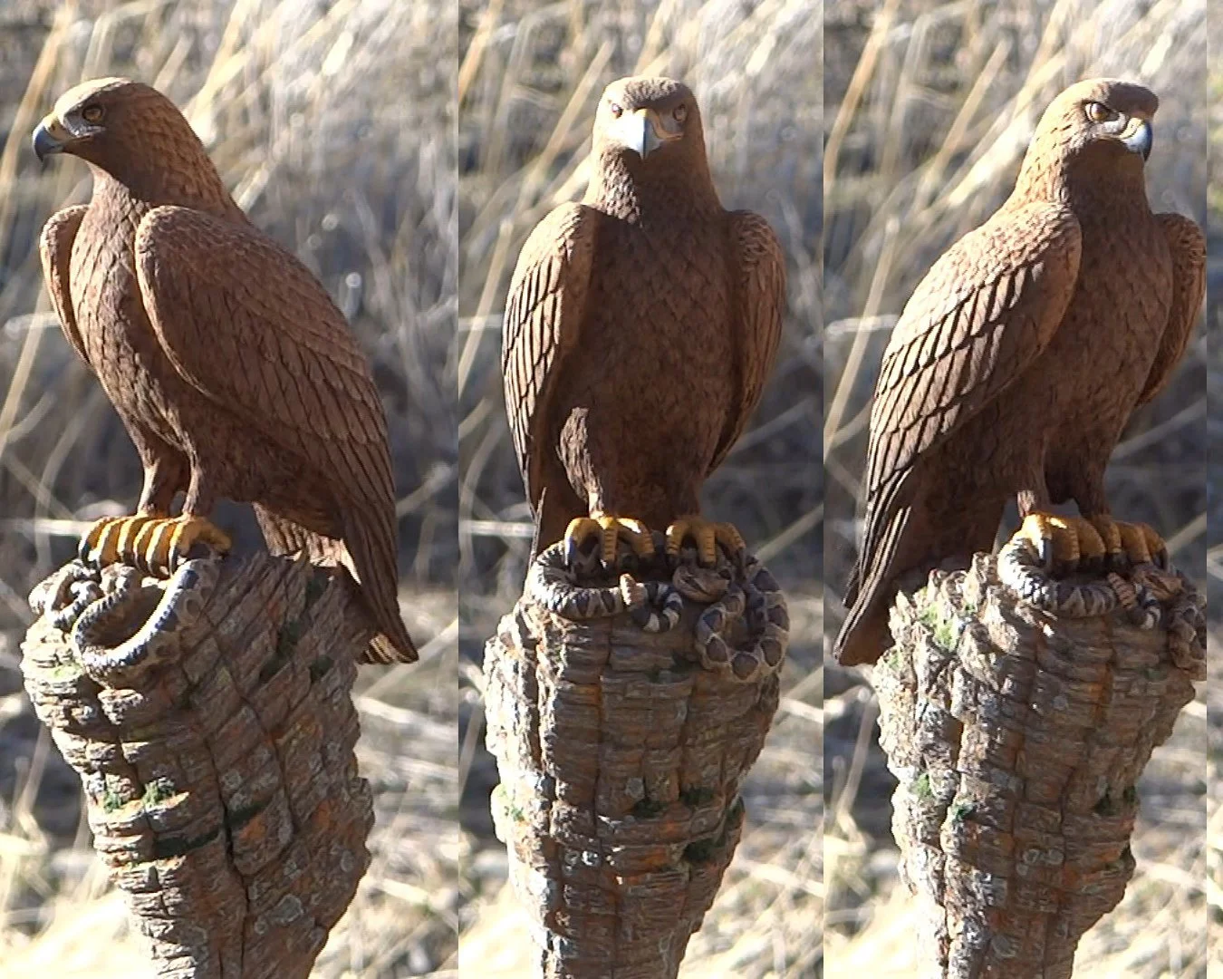 Golden  Eagle stick Squarespace 1.jpg