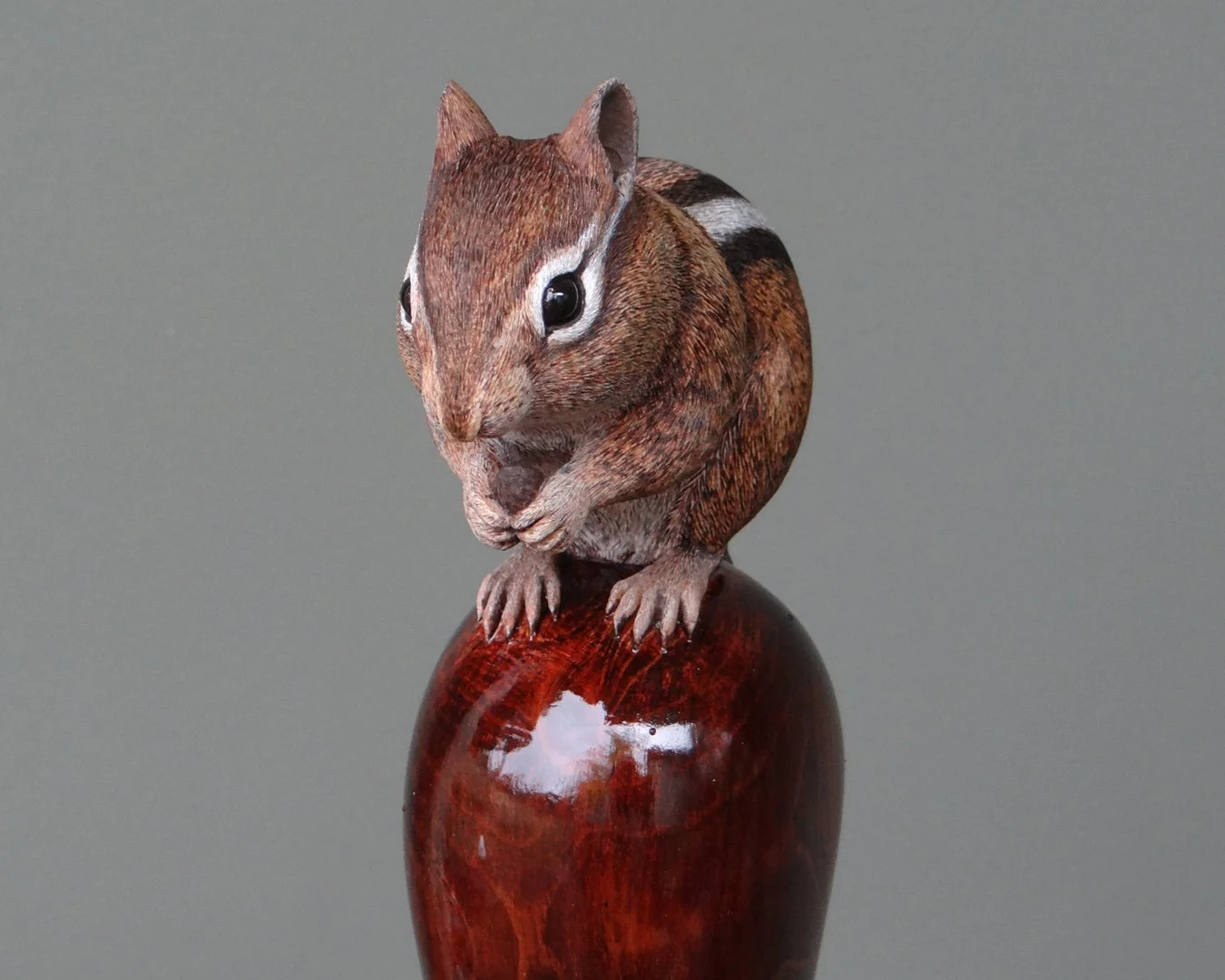 Chipmunk Squarespace 2.jpg