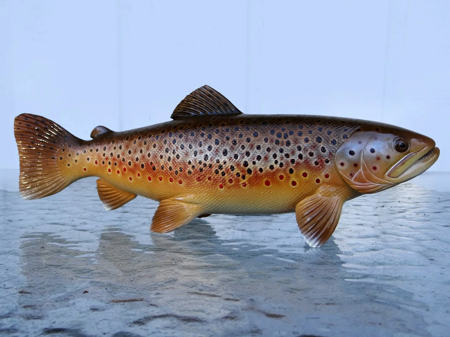 Brown Trout Squarespace 2.jpg