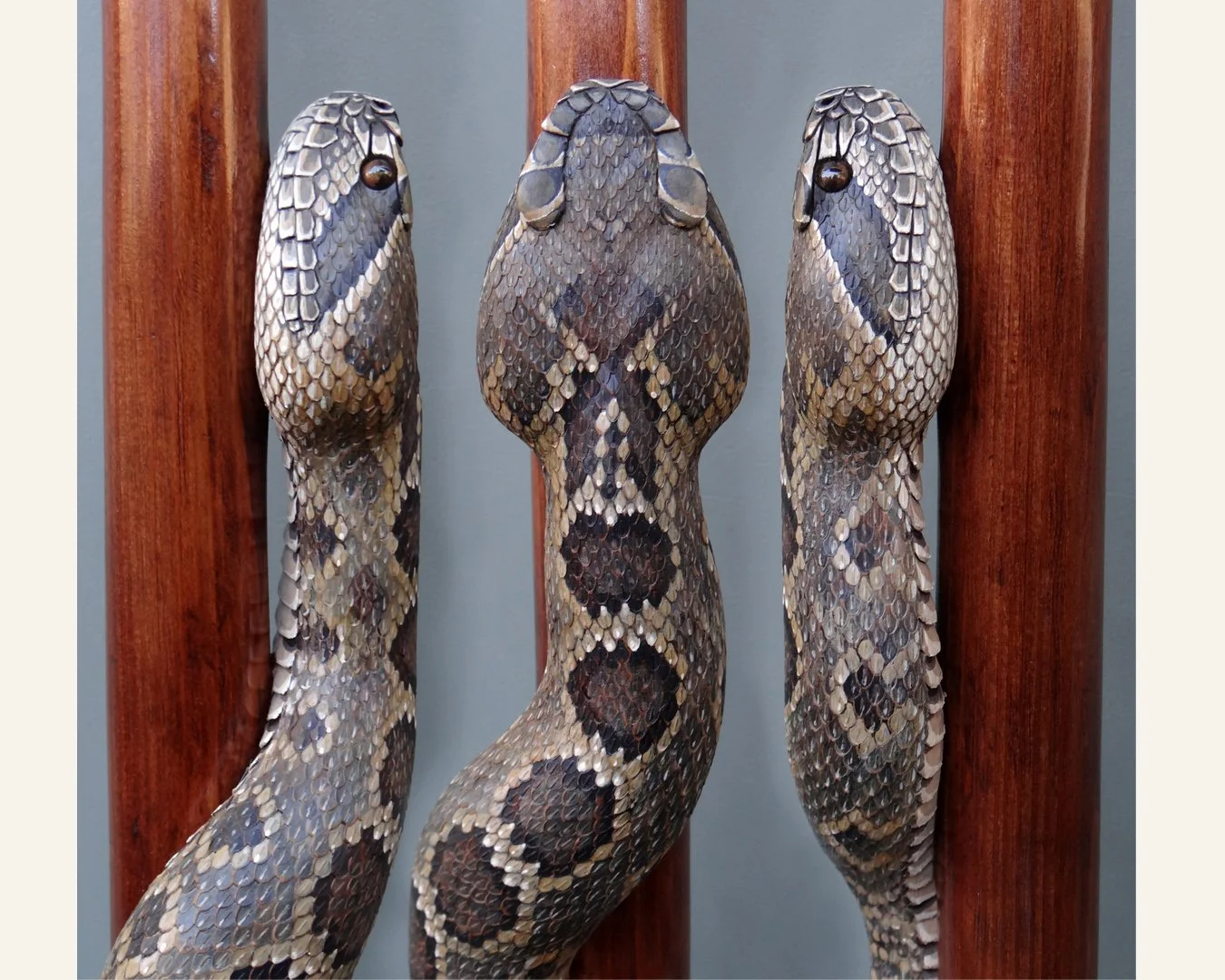 Rattler 111 stick pic 3.jpg