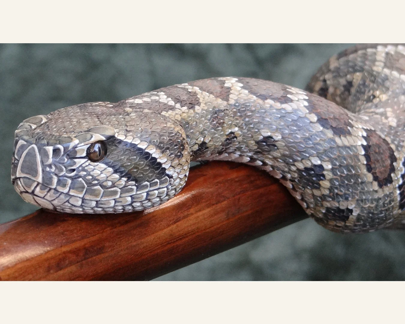 Rattler 111 stick pic 2.jpg