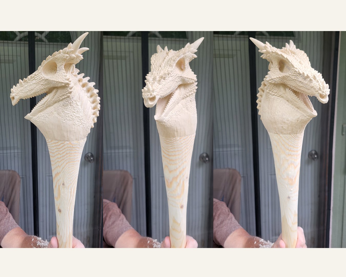 Dracorex Squarespace 1.jpg
