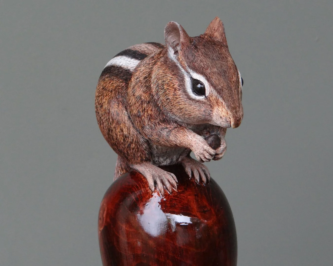 Chipmunk Squarespace 3.jpg