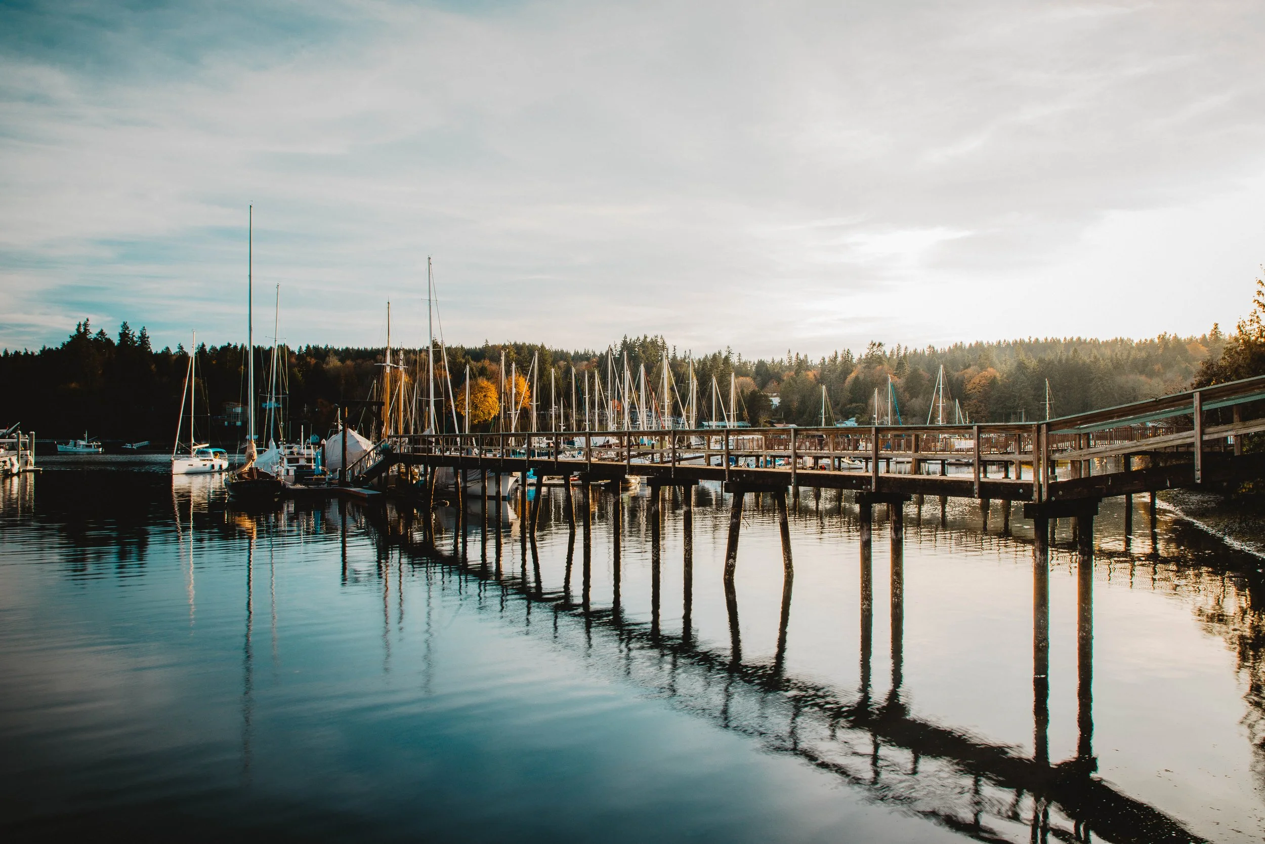A marina with sailboats docked along a wooden pier during the day, with trees and a cloudy sky in the background.