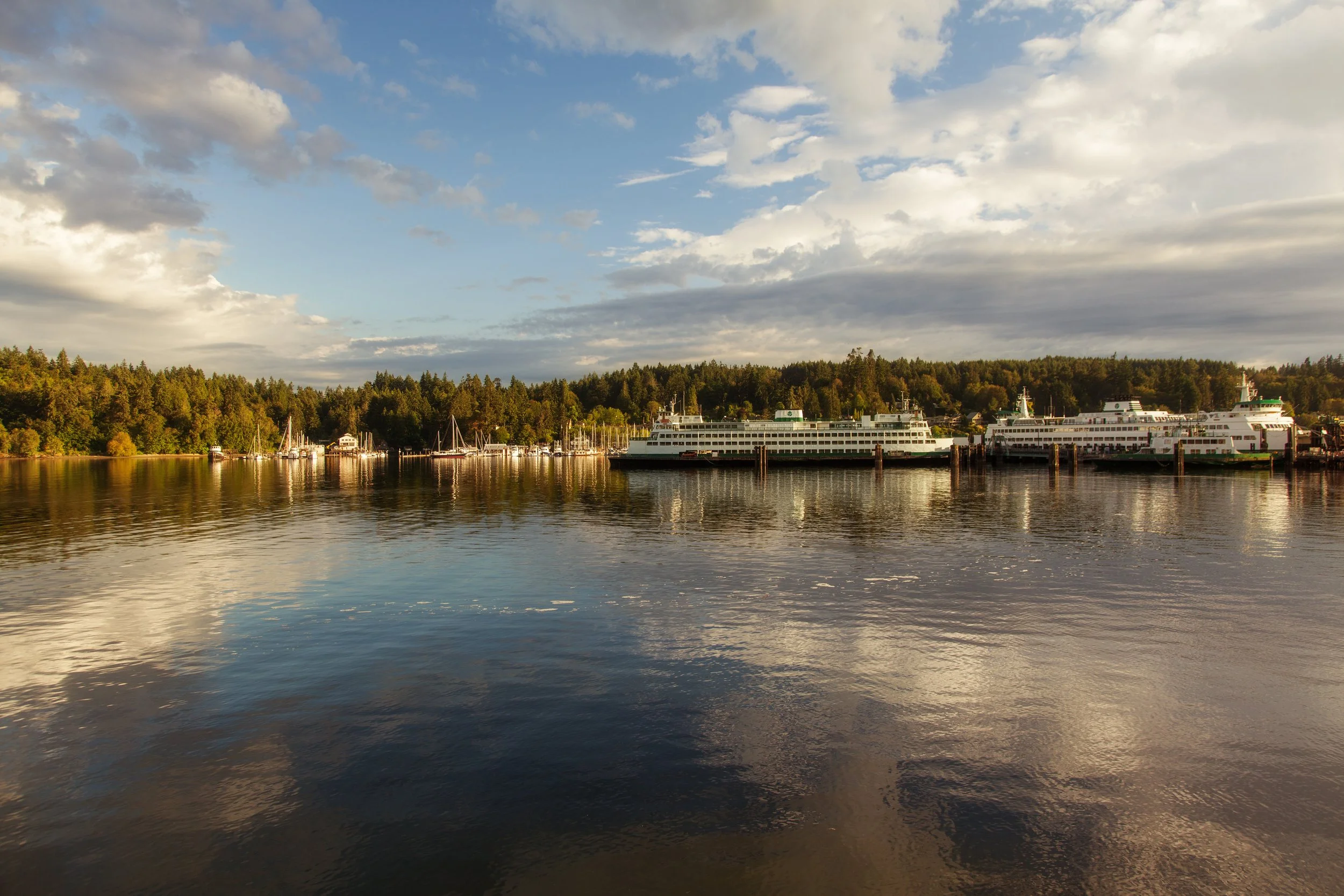 A scenic view of a harbor with boats and ferries docked along the shoreline, with a lush green forest in the background and a partly cloudy sky overhead.