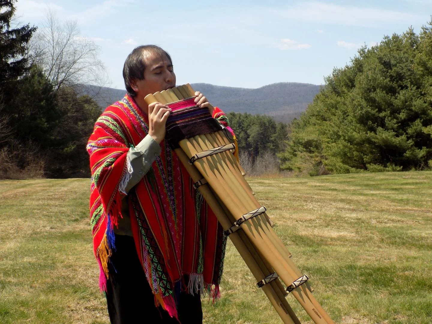 Panpipes.jpg