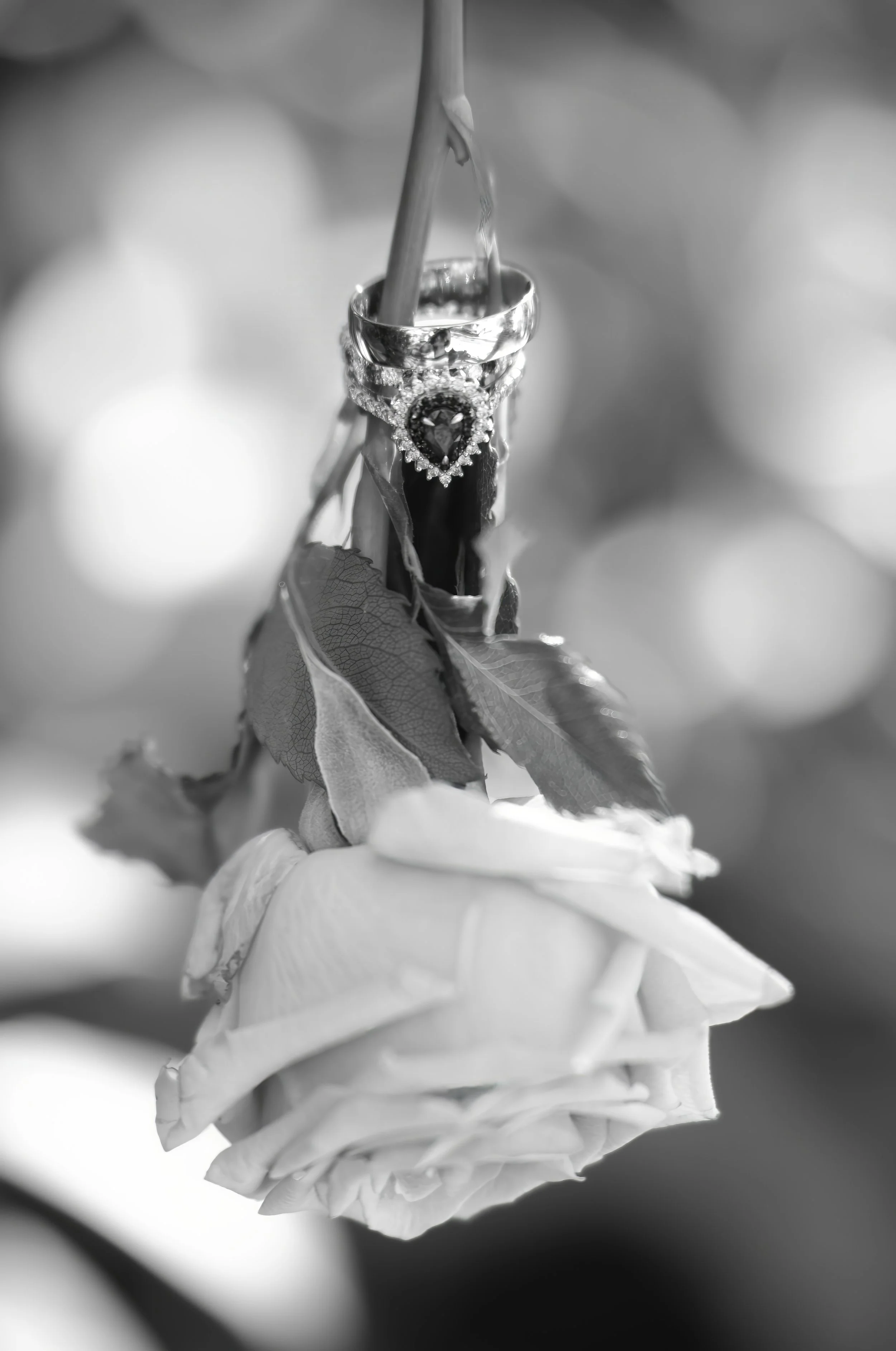 CruzWeddingFinals-11.jpg