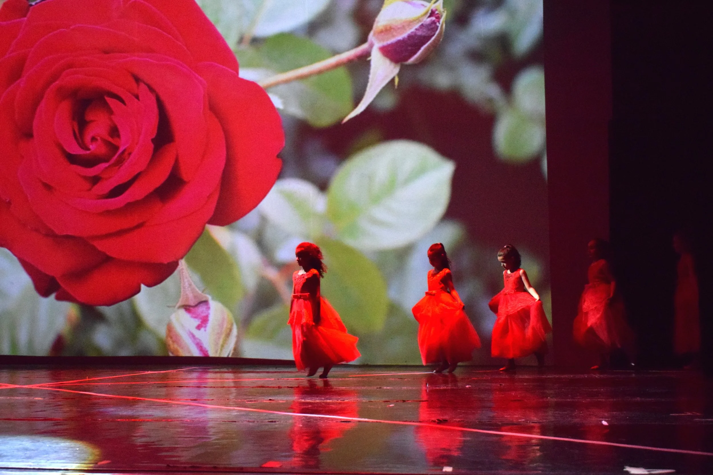 Una performance di danza con donne vestite di rosso, sfondo di un'immagine di un fiore rosso, probabilmente una rosa.
