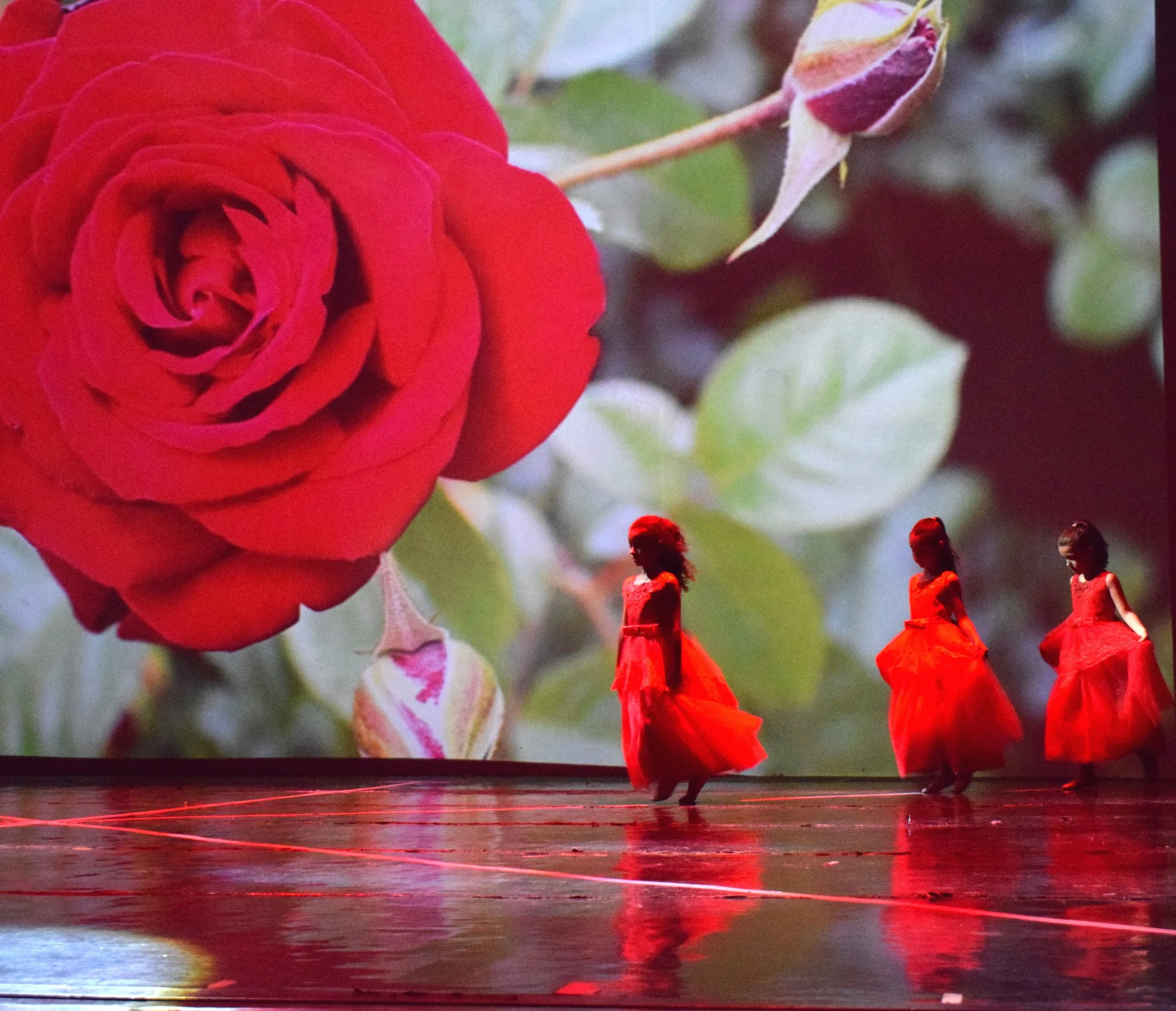 Gruppo di ballerine in abiti rossi che ballano sul palco, con uno sfondo di un grande fiore rosso.
