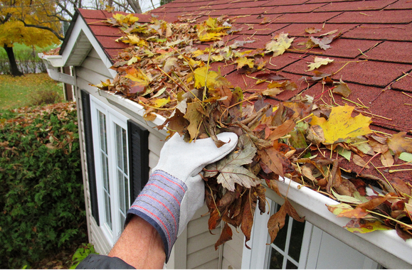 When to Book Fall Gutter Cleaning in Northern Colorado