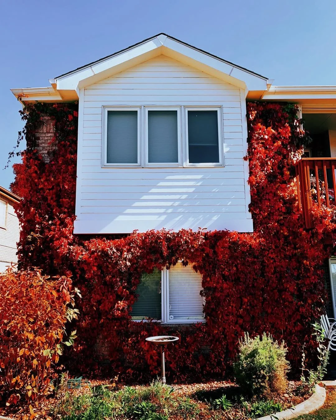 residential window cleaning foco
