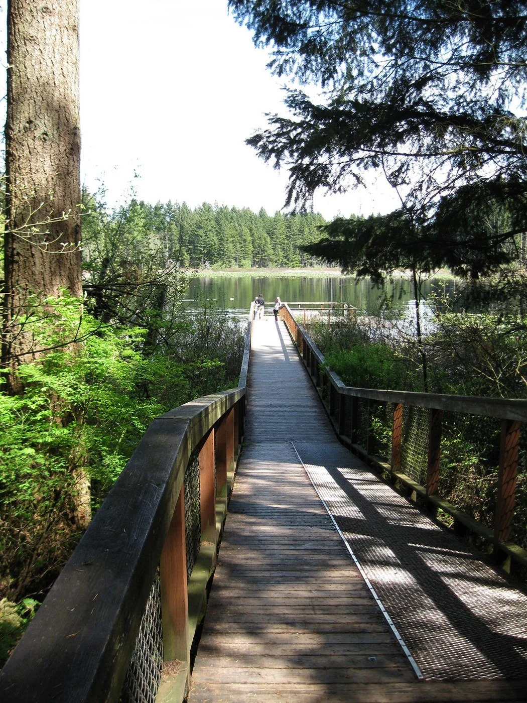 Yellow Lake located within Klahanie neighborhood in Sammamish, Washington