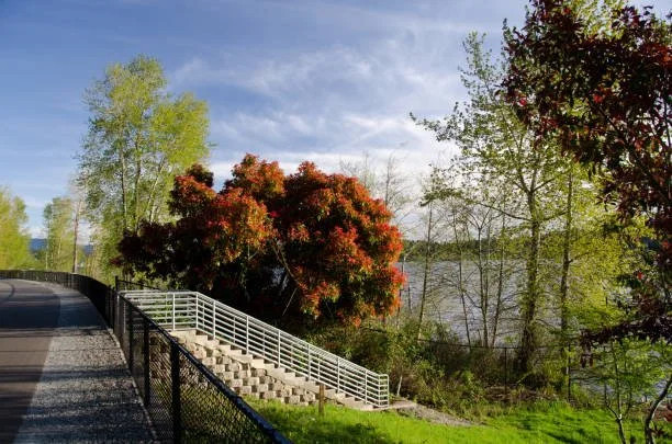 Walking path along the Lake Sammamish trail runs along East Lake Sammamish