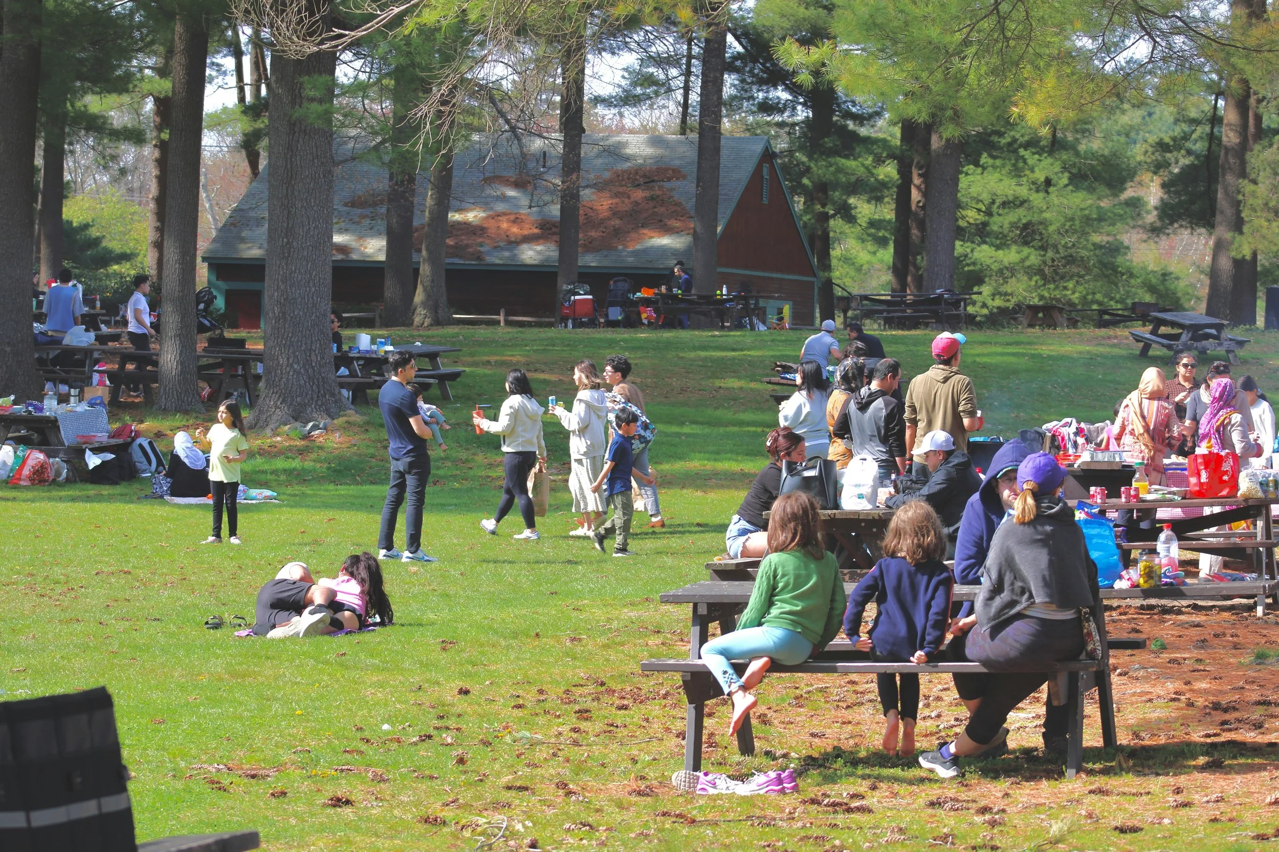 Sammamish, WA neighborhood families gathering at a community park showing the strong social fabric
