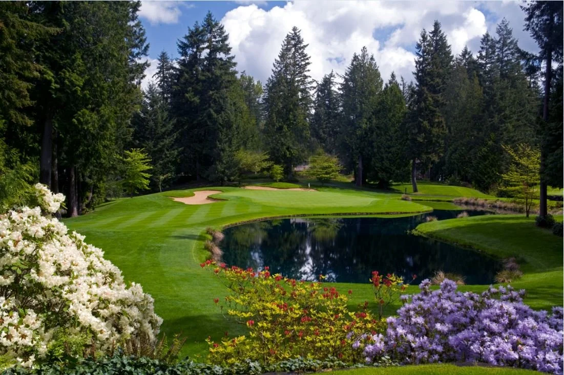 Heavily wooded residential streets surrounding Sahalee Country Club in Sammamish Washington