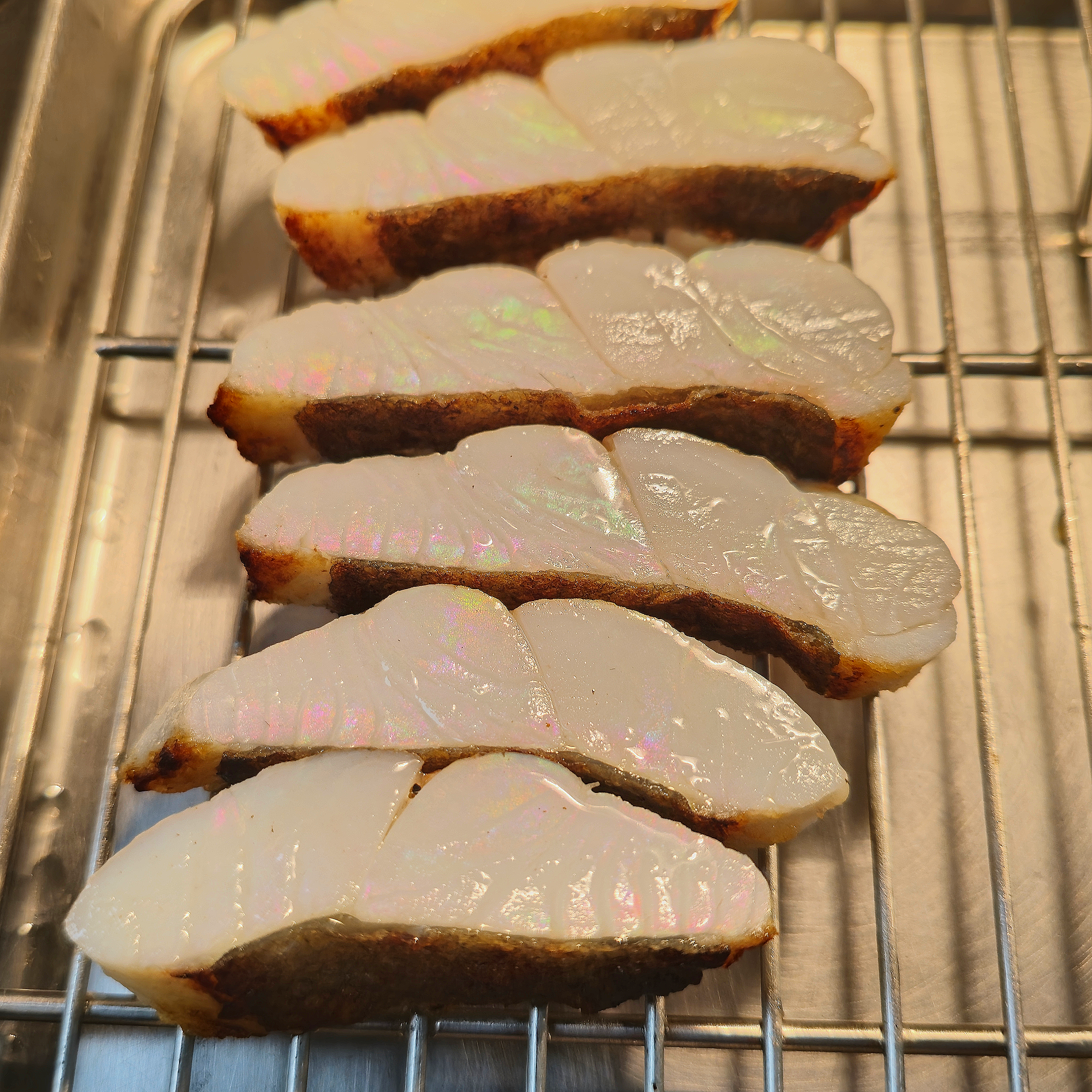 Close-up of several slices of cooked John Dory fish with a shiny, iridescent sheen, placed on a metal cooling rack.