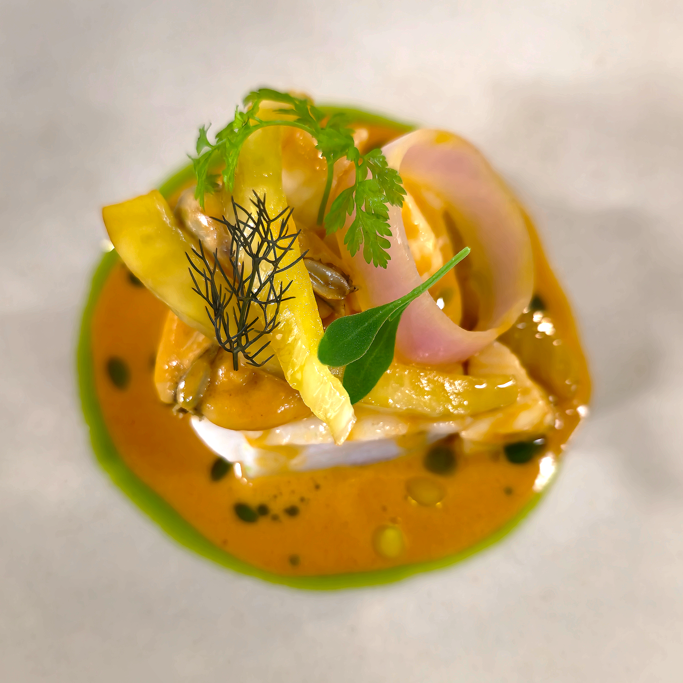 Close-up of a gourmet dish garnished with fresh herbs, featuring yellow and pink ingredients arranged artistically in a white bowl with a green drizzle surrounding the food.
