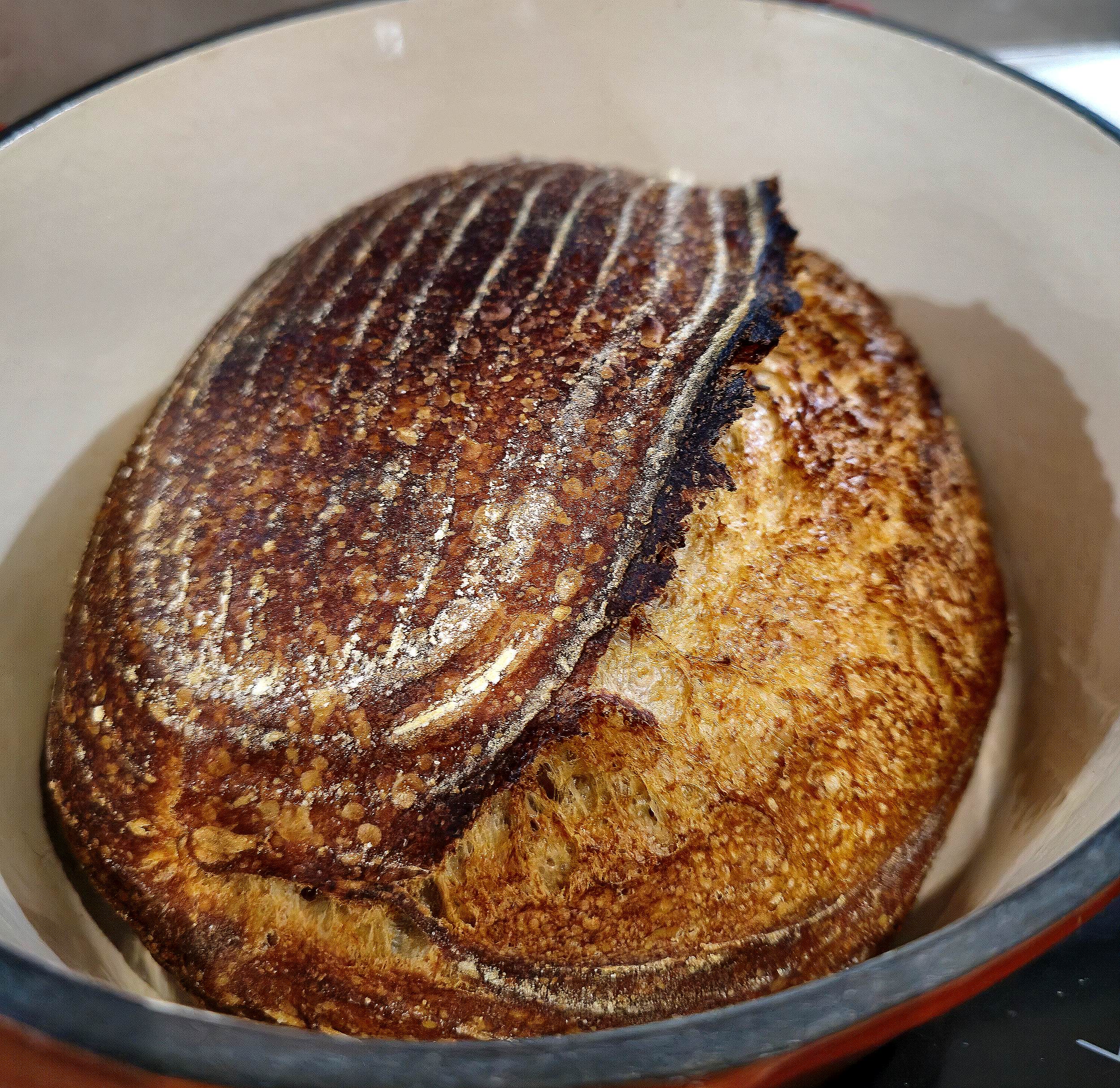 Close-up of a loaf of bread baking inside a white oven with a decorative striped crust.