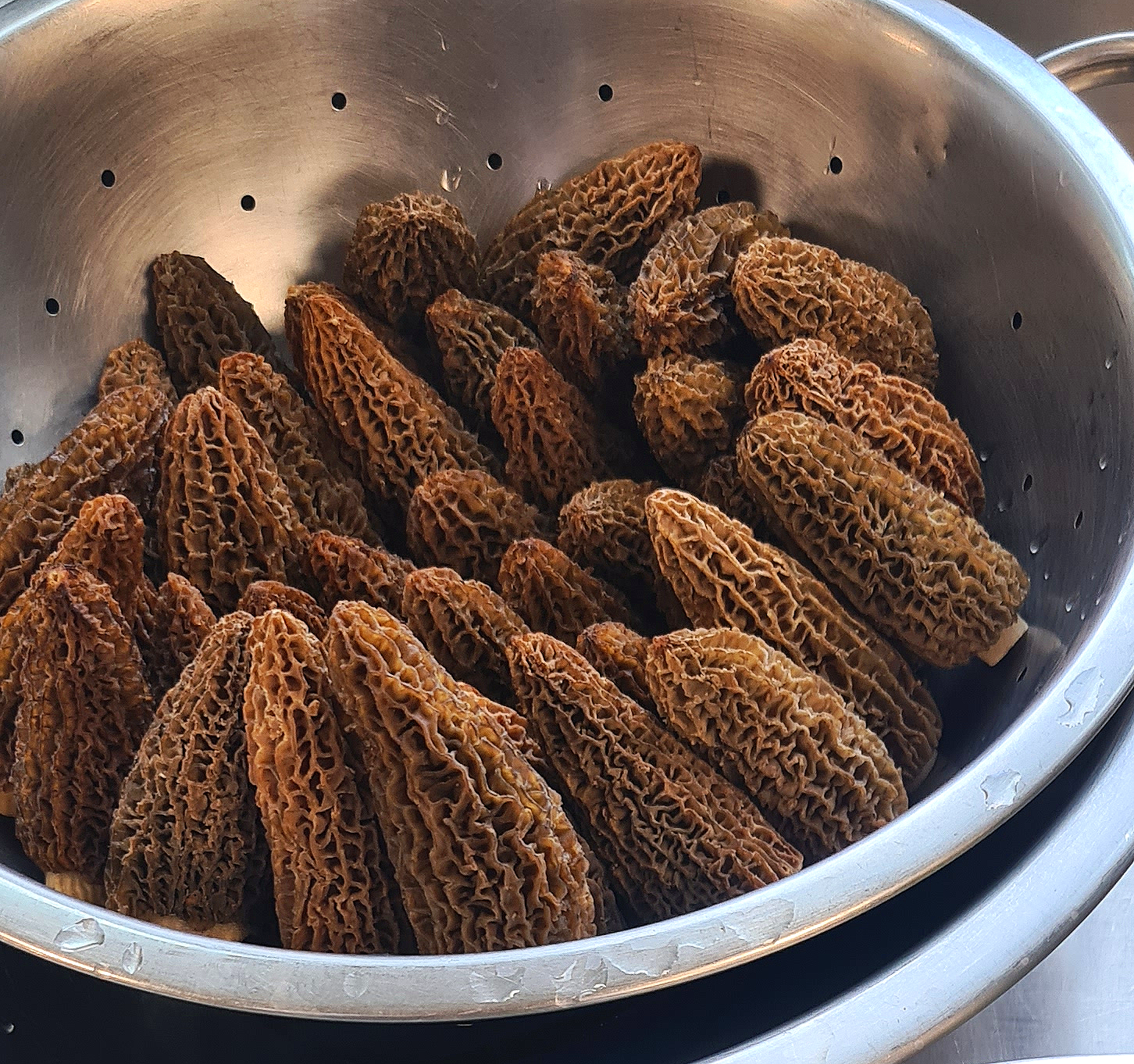 A metal colander filled with morel mushrooms.