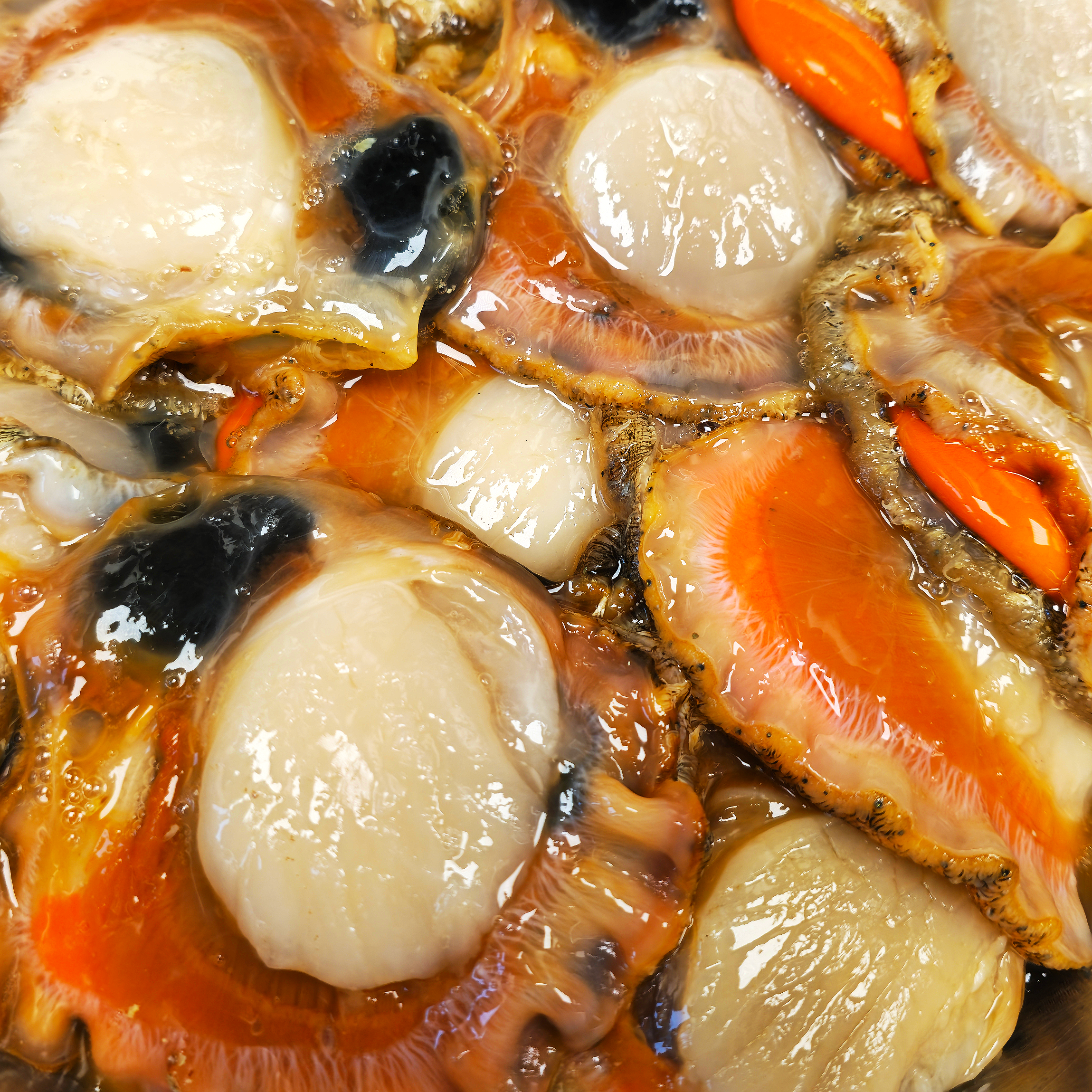 Close-up of raw scallops.