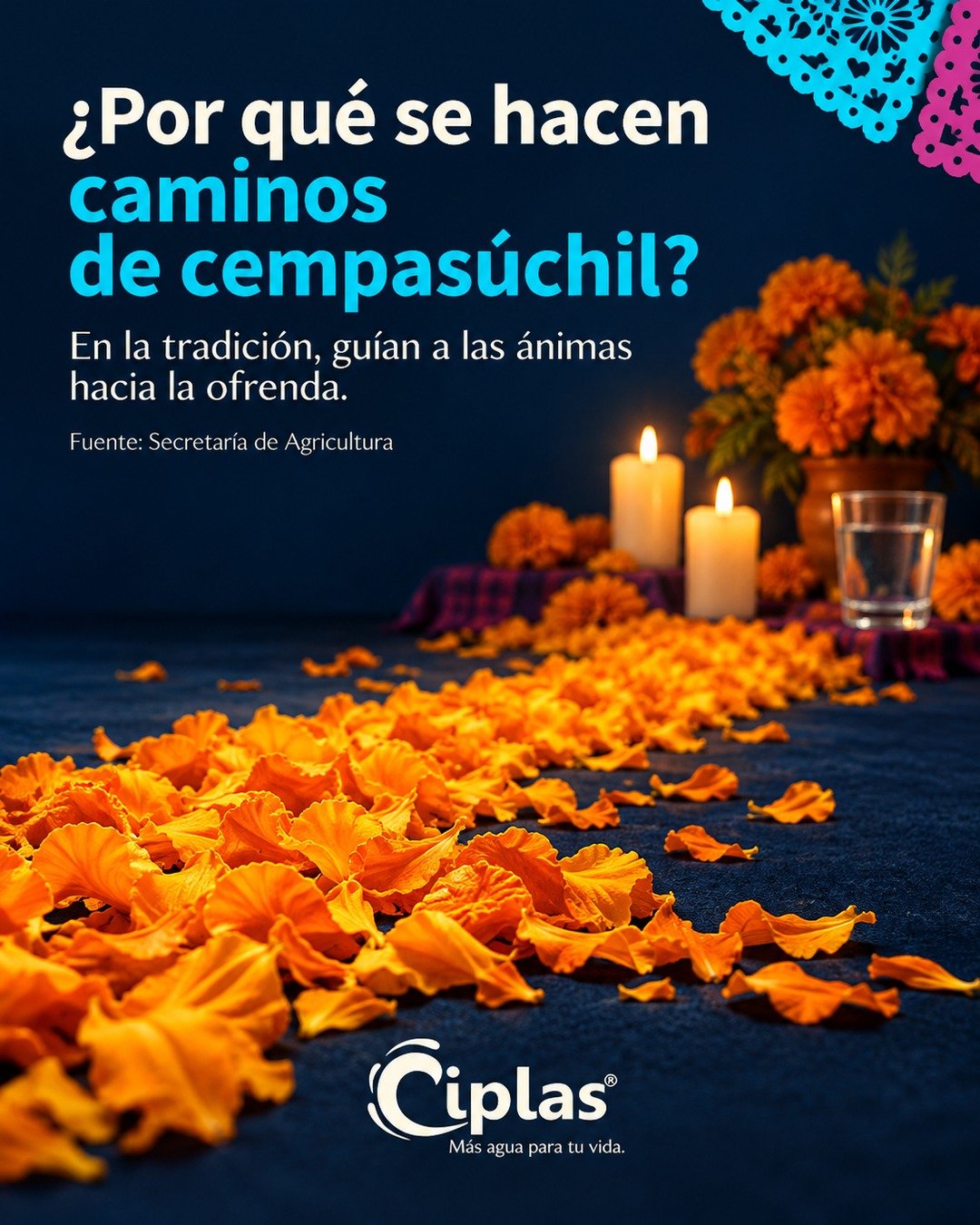 Los caminos de cempas&uacute;chil tienen un sentido en la tradici&oacute;n: se colocan para guiar a las &aacute;nimas hacia la ofrenda. Celebramos los detalles que mantienen vivas nuestras ra&iacute;ces. 🌼