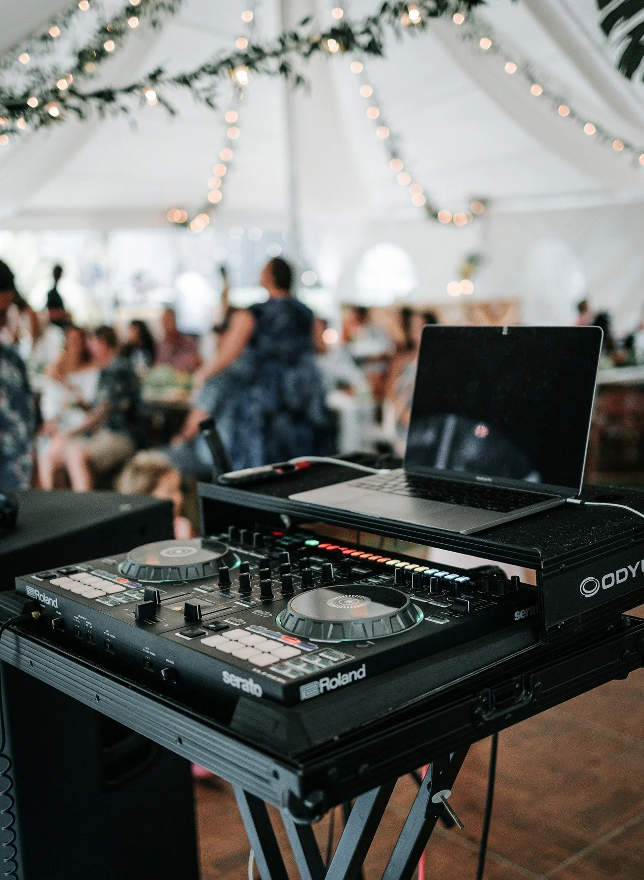 DJs & Entertainment
