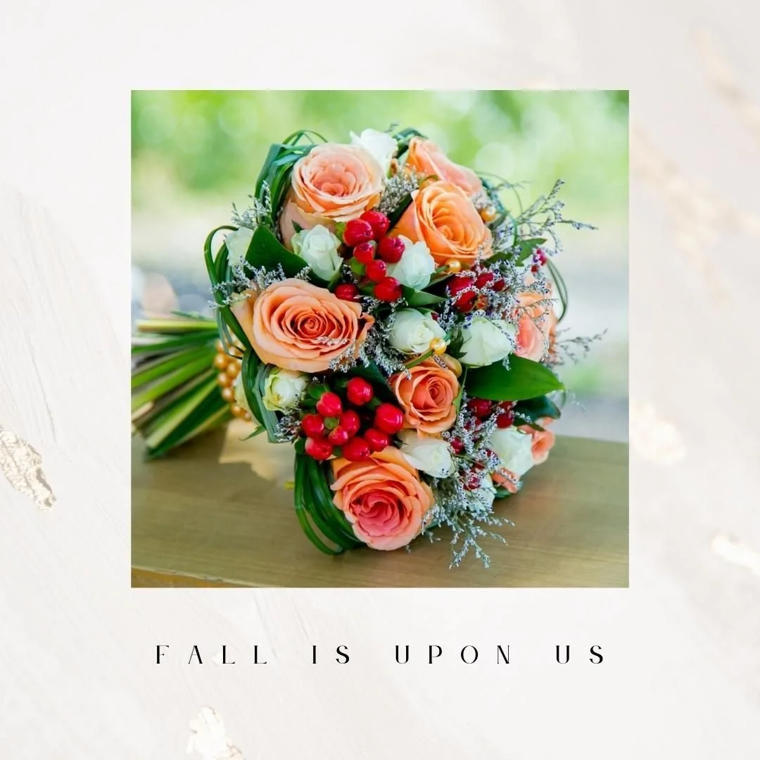 We are so ready for Fall!! 

#TheHillsideVineyard ⁠#coloradoweddingvenue⁠ #nowbooking2023 ⁠#nowbooking2024 #weloveourbrides⁠ #eventspace ⁠#weddingspace⁠ 
#FOCOWedding⁠ #HereComesTheBride⁠ #TheKnot⁠ #WeddingWire⁠ #weddingceremony⁠ #soexcited ⁠#photosh
