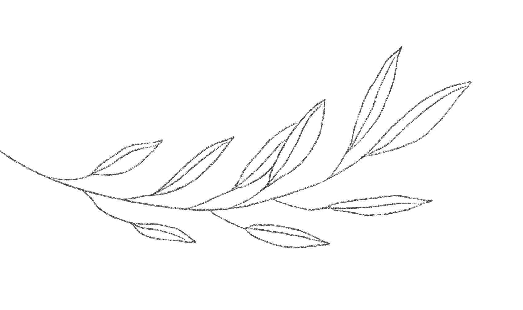 Black outline illustration of a curved branch with elongated leaves, arranged in a scattered pattern.