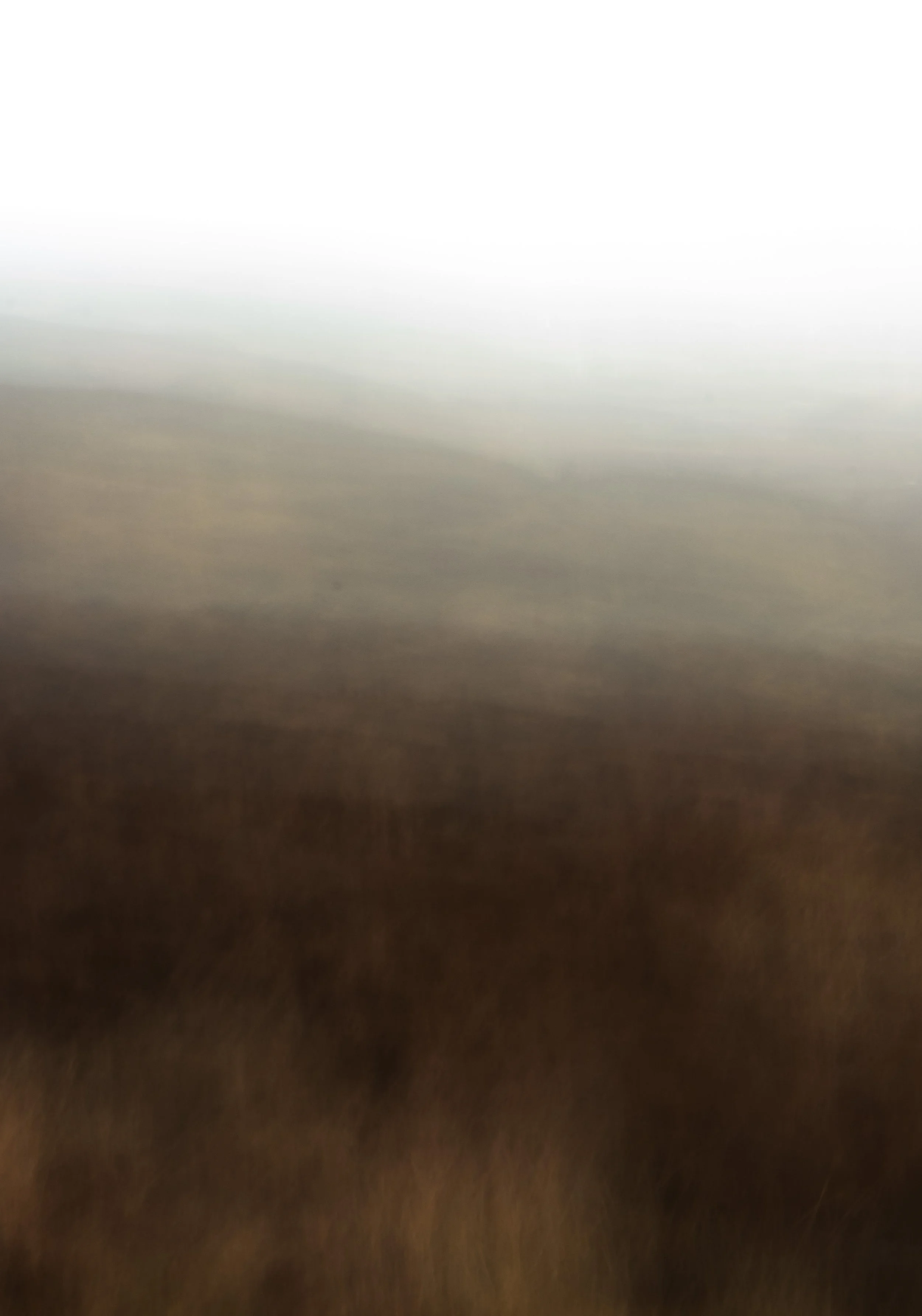 Intentional Camera Movement