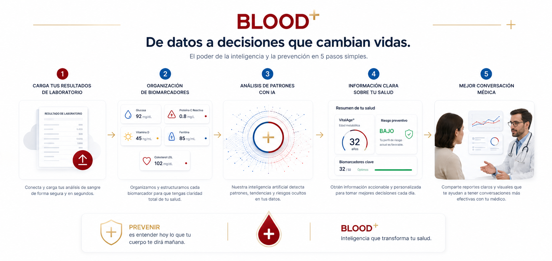 Infografía sobre la importancia de los datos y la inteligencia en la salud, con pasos para cargar resultados de laboratorio, organizar biomarcadores, análisis con IA, información clara y comunicación médica.