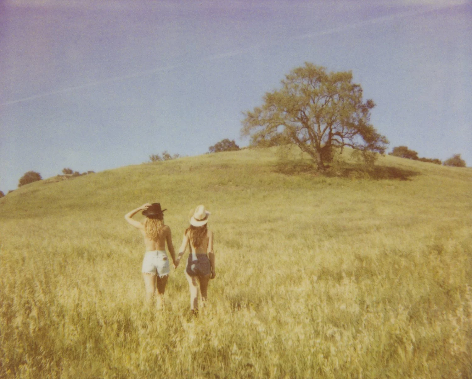 KnC_23_v1A.jpg