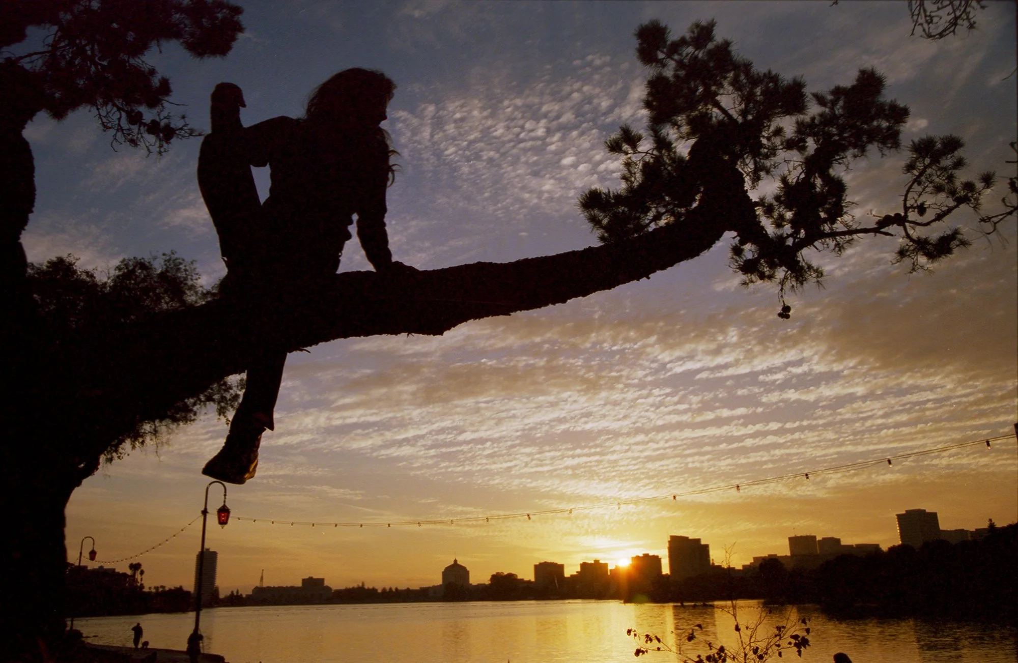 LT_Hip_120mm_3_v1.jpg